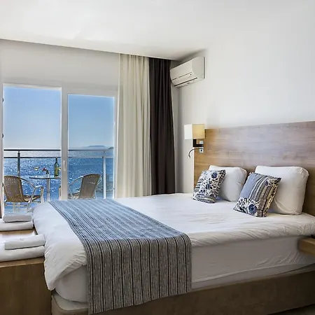 Rhapsody 4*