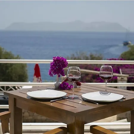 Rhapsody 4*